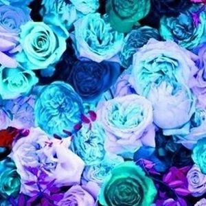 Meet your Posher, Mari